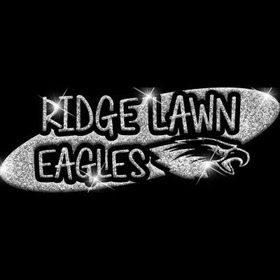 GLT100 SILVER GLITTER Thumbnail